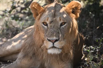 DSC_3579 (Large).JPG